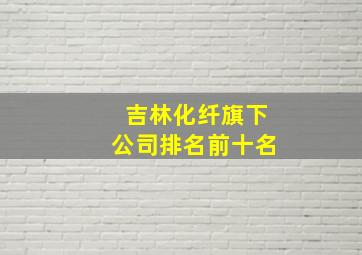 吉林化纤旗下公司排名前十名