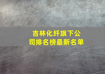 吉林化纤旗下公司排名榜最新名单