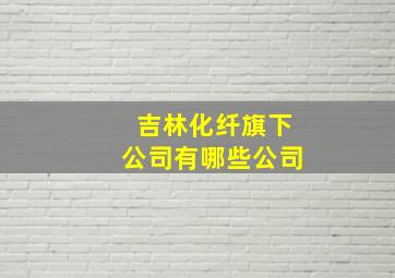 吉林化纤旗下公司有哪些公司