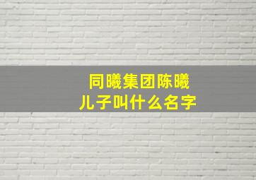 同曦集团陈曦儿子叫什么名字