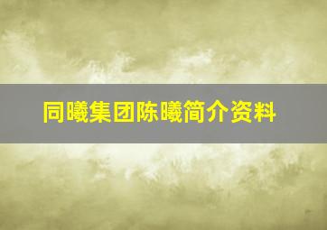 同曦集团陈曦简介资料