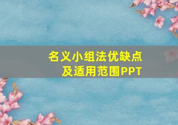 名义小组法优缺点及适用范围PPT