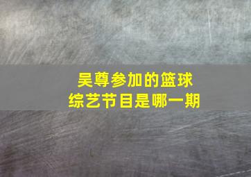 吴尊参加的篮球综艺节目是哪一期