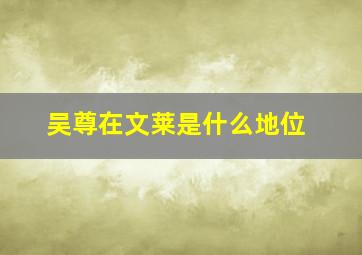 吴尊在文莱是什么地位