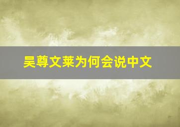 吴尊文莱为何会说中文