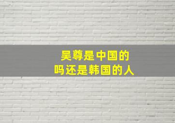 吴尊是中国的吗还是韩国的人