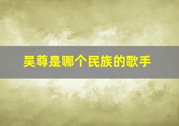 吴尊是哪个民族的歌手