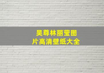 吴尊林丽莹图片高清壁纸大全