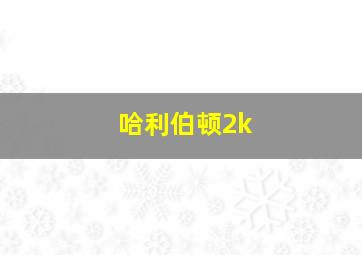 哈利伯顿2k