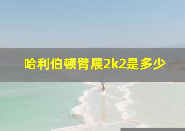 哈利伯顿臂展2k2是多少