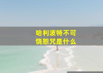 哈利波特不可饶恕咒是什么