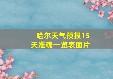 哈尔天气预报15天准确一览表图片