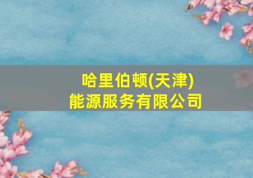 哈里伯顿(天津)能源服务有限公司