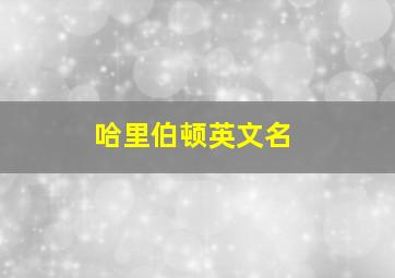 哈里伯顿英文名