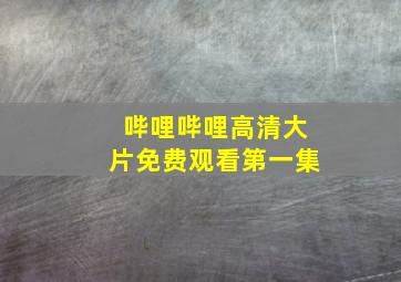 哔哩哔哩高清大片免费观看第一集