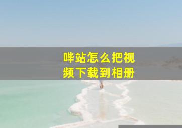 哔站怎么把视频下载到相册