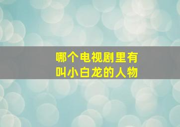 哪个电视剧里有叫小白龙的人物