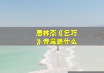 唐林杰《乞巧》诗意是什么