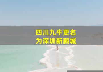 四川九牛更名为深圳新鹏城