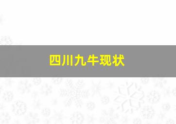 四川九牛现状