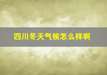 四川冬天气候怎么样啊