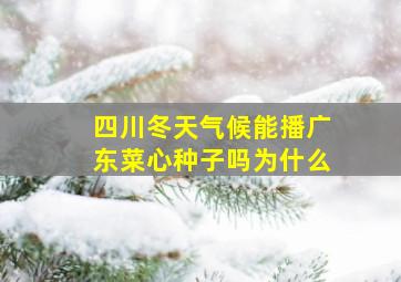 四川冬天气候能播广东菜心种子吗为什么