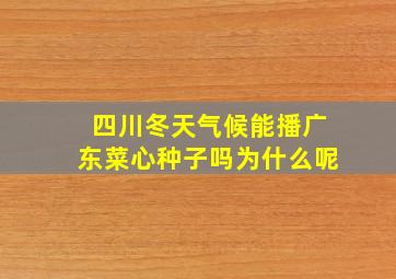 四川冬天气候能播广东菜心种子吗为什么呢