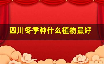 四川冬季种什么植物最好