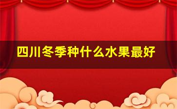 四川冬季种什么水果最好