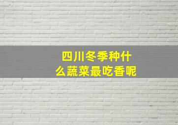 四川冬季种什么蔬菜最吃香呢