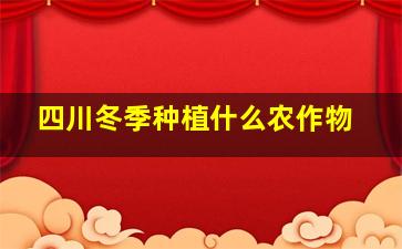 四川冬季种植什么农作物