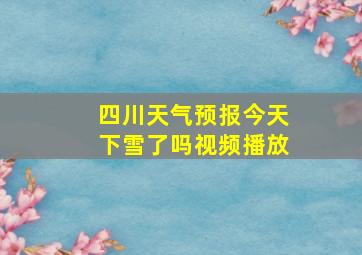 四川天气预报今天下雪了吗视频播放