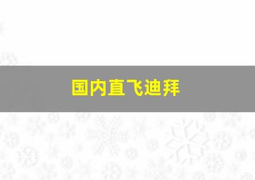 国内直飞迪拜