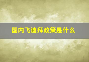 国内飞迪拜政策是什么