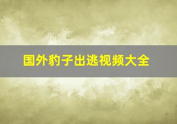 国外豹子出逃视频大全