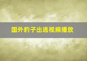 国外豹子出逃视频播放