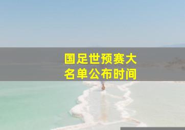 国足世预赛大名单公布时间