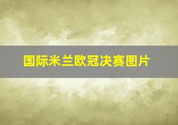 国际米兰欧冠决赛图片