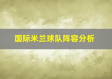 国际米兰球队阵容分析