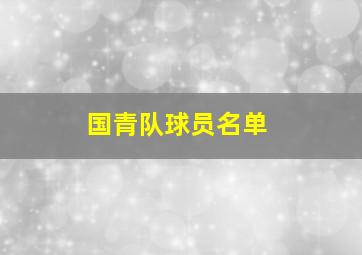 国青队球员名单