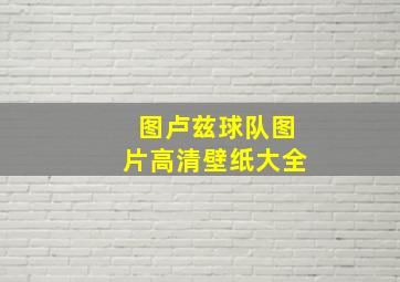 图卢兹球队图片高清壁纸大全