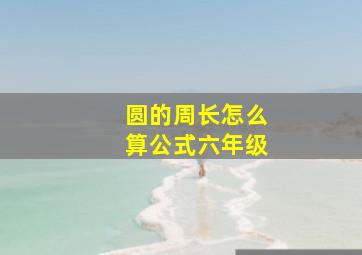 圆的周长怎么算公式六年级