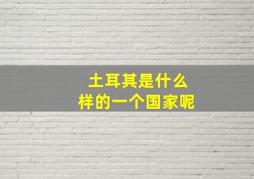 土耳其是什么样的一个国家呢