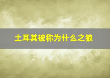 土耳其被称为什么之狼