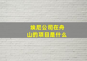 埃尼公司在舟山的项目是什么