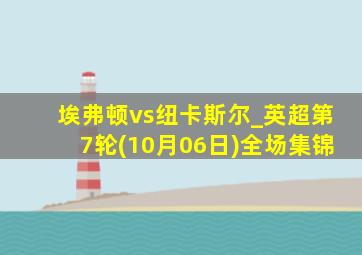 埃弗顿vs纽卡斯尔_英超第7轮(10月06日)全场集锦