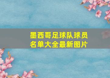 墨西哥足球队球员名单大全最新图片