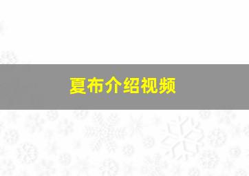 夏布介绍视频