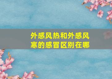 外感风热和外感风寒的感冒区别在哪