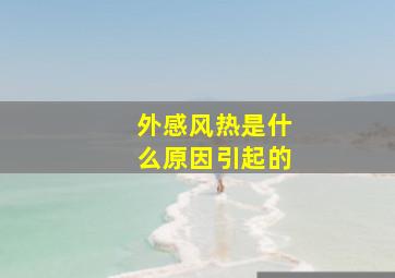 外感风热是什么原因引起的